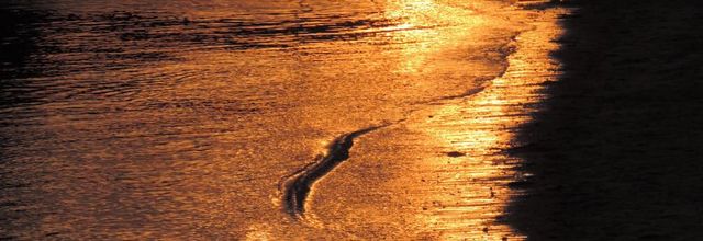 un soir en reflets d'or !