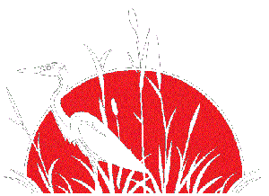 La salicorne,fleur des marais