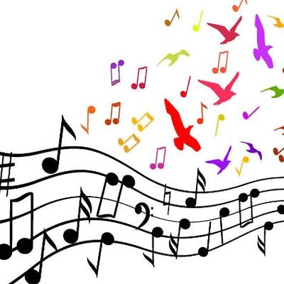 Veuillez nous excuser !