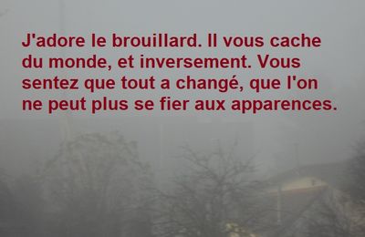 Limousin:  Attention BROUILLARD 