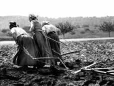 Conquérir l'égalité des genres !