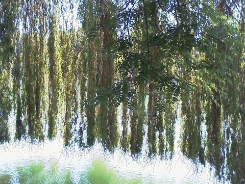 LES FORMES DE L'EAU X