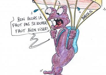 La mutation chez les profs !