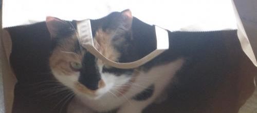 Un sac, moi j'adore...