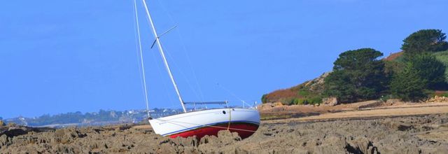 Fortune  de mer 
