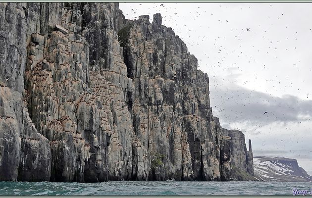 Arrivée au bout des Falaises d'Alkefjellet avec des "tours de guet et des fortifications" impressionnantes  - Spitzberg - Svalbard - Norvège