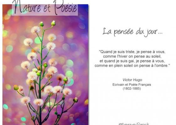 Citations en images : Je pense à vous