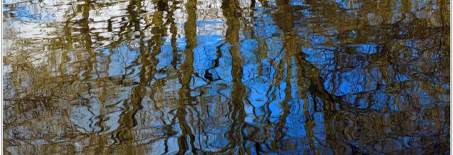 85 . Vendée - La Chaize le Vicomte (7) - Reflet