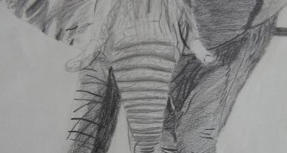 Eléphant au crayon