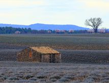 L'hiver à Valensole