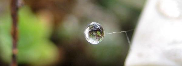 Goutte à goutte