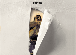 Coups de Coeur en Nouveautés