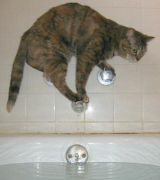 Situations insolites.