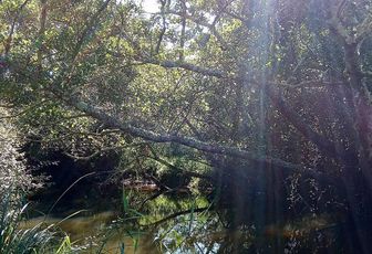 défi reflets d'Annie N°11