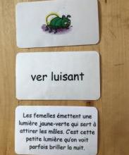 Le centre de Lecture 