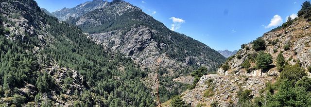 Haut Asco - Corse