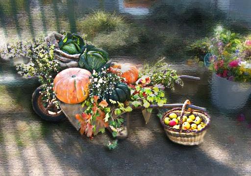 Votre Marché de la semaine