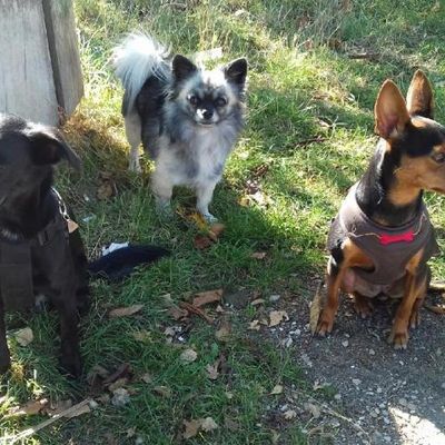 Copains - Copines des filles