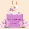 C'est le printemps ! (cartonnettes) 2014