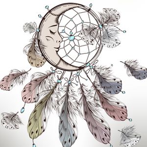 Calliplume