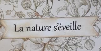 Carte postale / La nature s'éveille