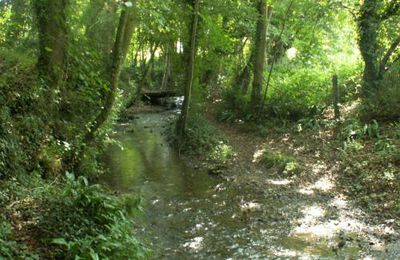 chemin dans le chemin - Jeu