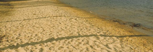 la plage de Sanguinet (33)