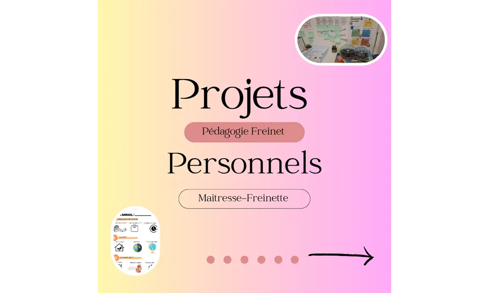 Les projets personnels 