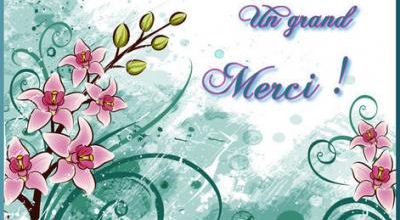 Merci pour mes 17 ans sur la Blogophère