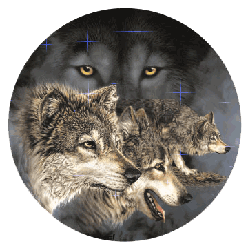 Où est le Loup?