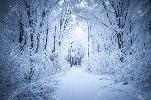 L'hiver ... 