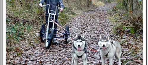 Sortie en kart (3 janvier 2014)