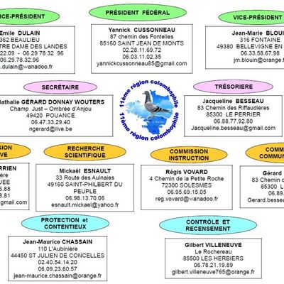 1 - Organigramme de la région