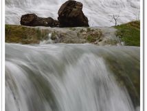 Filé d'eau sur les rives du Lez