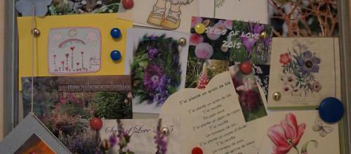Seeds of Love : souvenirs