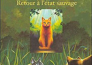 La guerre des clans :