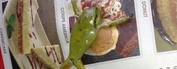Cette grenouille a été retrouvée dans une salade de Buffalo Grill - PHOTOS ET VIDEOS