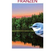 LIBERTAD ePub gratis