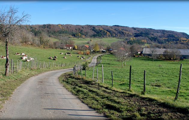 Le sentier de la mémoire