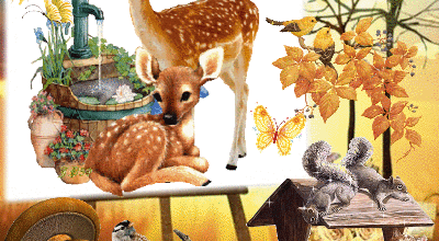 ANIMAUX EN AUTOMNE ANIME