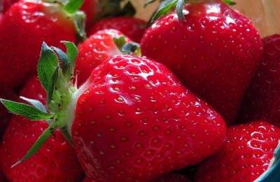 Fruits de saison, un avant-goût 