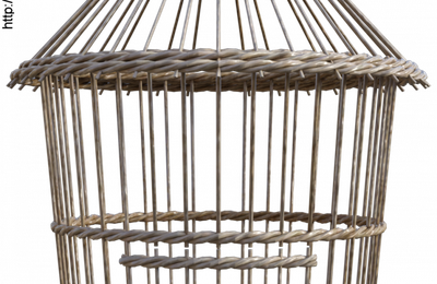 Tube de cage à oiseaux en osier (png, poser, render)