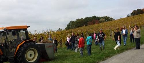 Sortie entre Deuches et vendanges