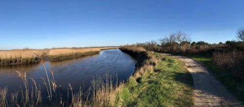 CR / MARCHE 10 / LE TEICH
