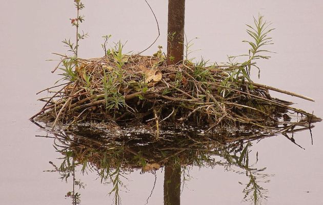 défi reflets d'Annie