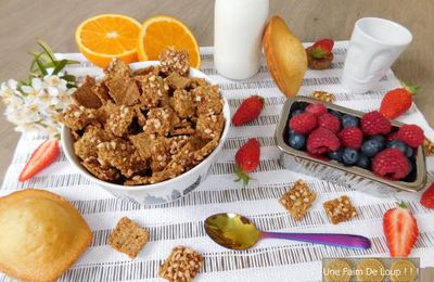 Céréales petit-déjeuner : Orange & Amande