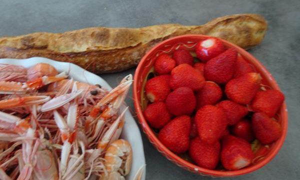 La saison des langoustines