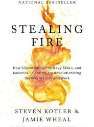 Free books to download for android tablet Stealing Fire: How Silicon Valley, the Navy SEALs, and Maverick Scientists Are Revolutionizing the Way We Live and Work 9780062429667