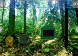 Dancing bear forest escape soluce