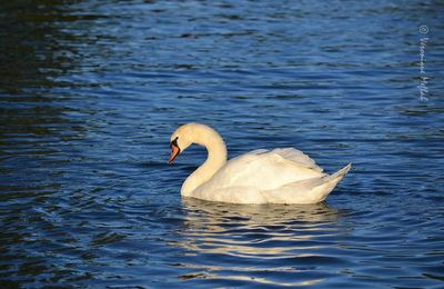 Les photos du weekend : au Lac Daumesnil